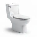 Vasca wc sospesa in ceramica bianca con sedile soft close 70 x 40 x 80cm